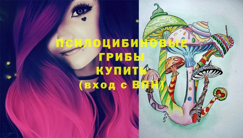 Псилоцибиновые грибы Psilocybe  ОМГ ОМГ зеркало  Кострома  где купить  